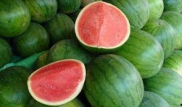 热门大瓜每日必吃大瓜合集,揭秘娱乐圈最新动态，一网打尽娱乐圈风云